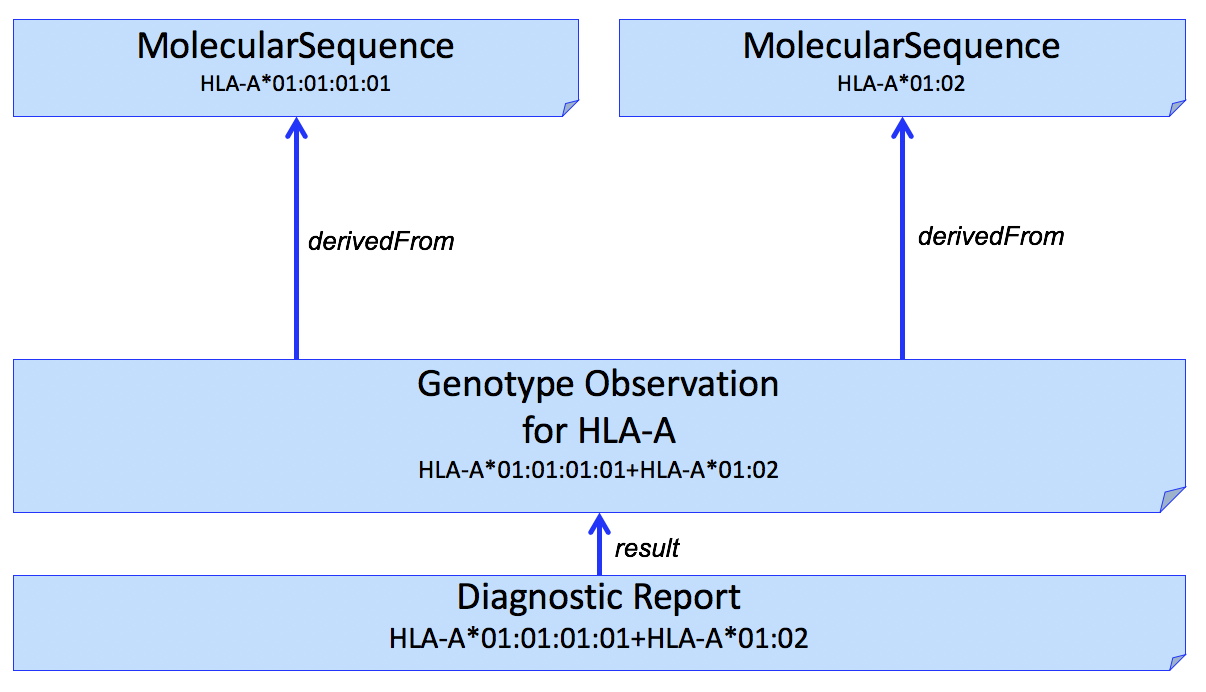 Genetic test report for HLA-A genotyping, with molecular sequence data used to derive the genotype.